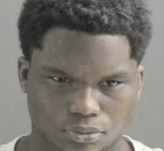 Baton Rouge Outrage: 94-Year-Old Woman Attacked by Repeat Offender Sparks Calls for Justice.