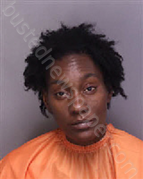 Tragic Bathtub Death Leads to Arrest: Florence Mother Charged After 4-Month-Old Baby Found Unresponsive.