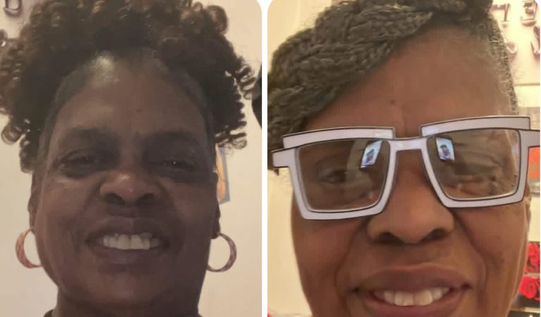 Lydia Turner Allen: A Beloved Life Lost in a Tragic Crash Near the Des Plaines River Bridge.